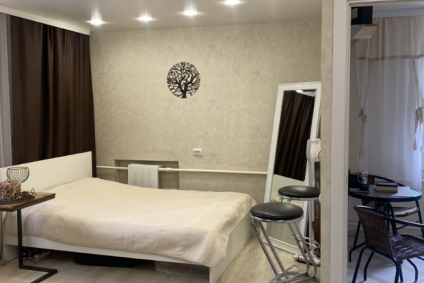 Квартира-студия в центре города